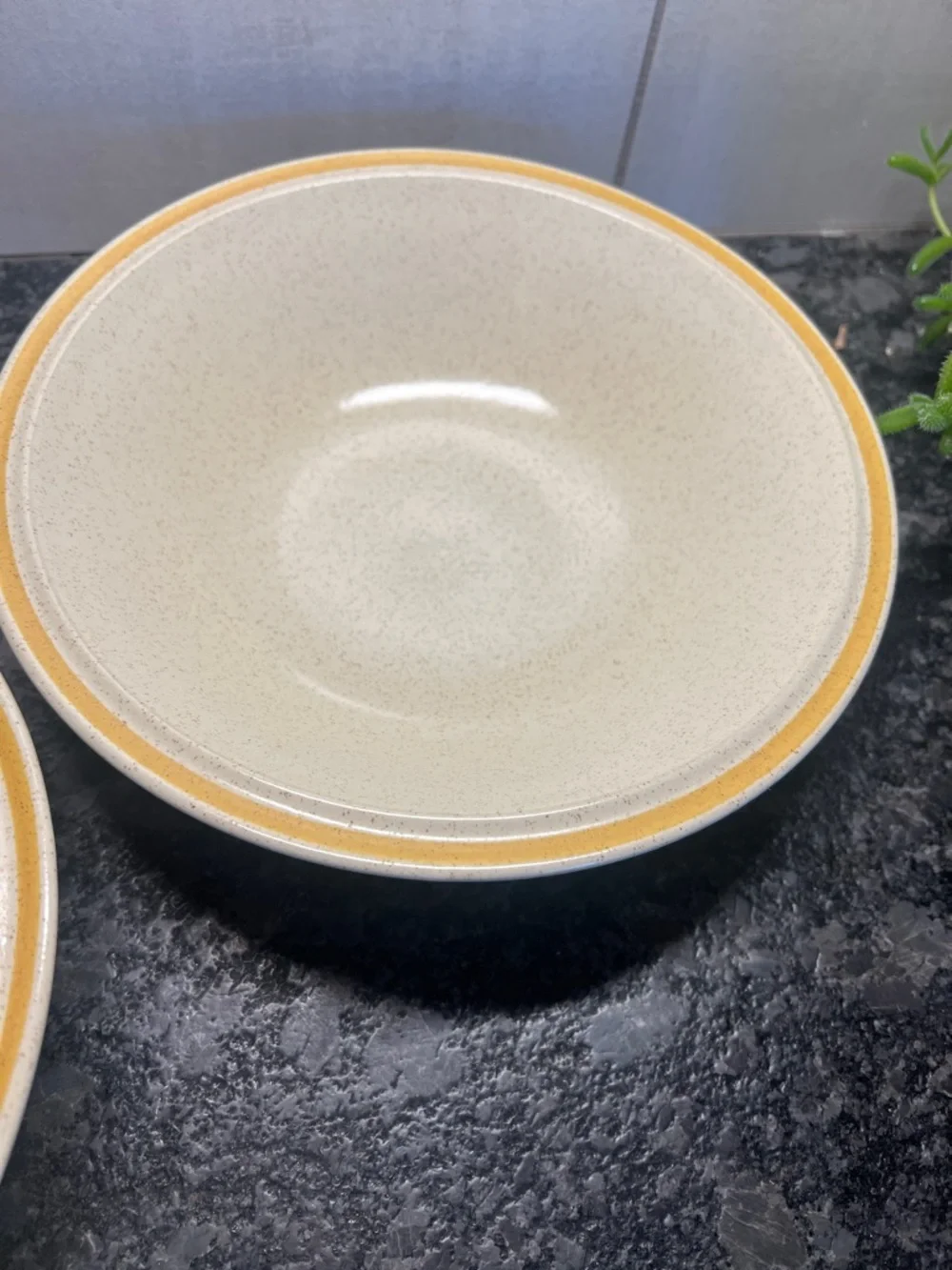 Set of 2 HEARTHSIDE GARDEN FESTIVAL Stoneware Serving Bowls 9”. NEW WITHOUT TAGS